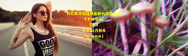 прущие грибы Пестово