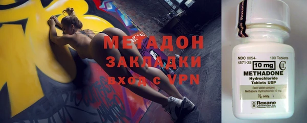 прущие грибы Пестово