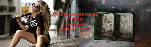 прущие грибы Пестово