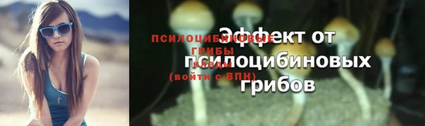 прущие грибы Пестово
