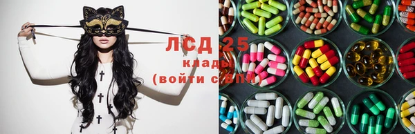 apvp Пересвет