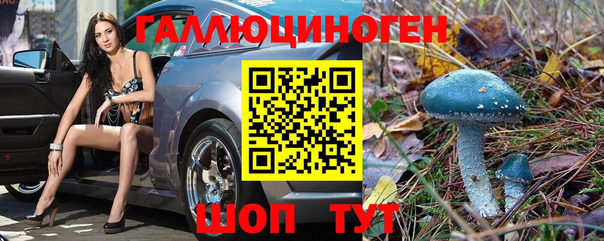 Галлюциногенные грибы мухоморы Великие Луки