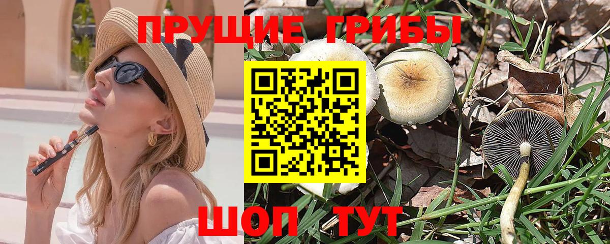 Псилоцибиновые грибы Magic Shrooms Великие Луки